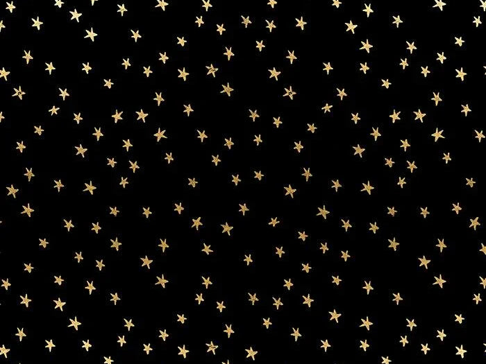 Starry Mini Starry Black Gold RS4110 27M Ruby Star Society fabric - Happy Little Quilt Shop
