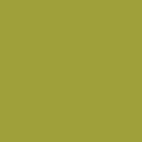 Parrot PE554 Art Gallery Fabrics Pure Solids - Happy Little Quilt Shop