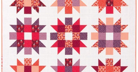 Genny and Ruth Quilt Kit Rhoda Ruth Elizabeth Hartman Petal Colorway - Happy Little Quilt Shop
