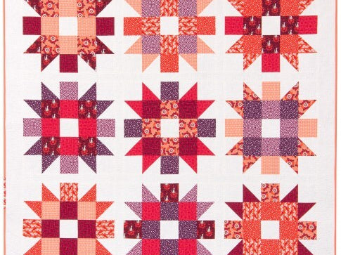 Genny and Ruth Quilt Kit Rhoda Ruth Elizabeth Hartman Petal Colorway - Happy Little Quilt Shop