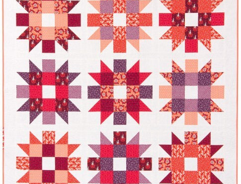 Genny and Ruth Quilt Kit Rhoda Ruth Elizabeth Hartman Petal Colorway - Happy Little Quilt Shop