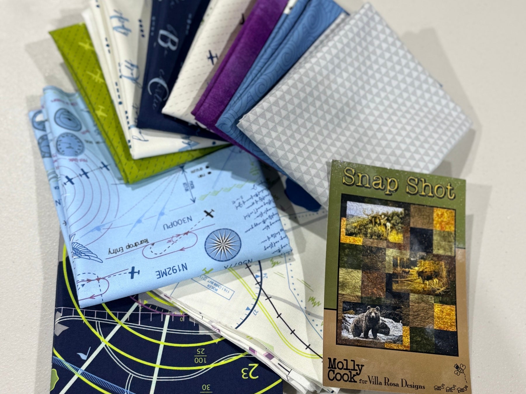 Snap Shot Quilt Kit ( High Flight Edition) - Happy Little Quilt Shop