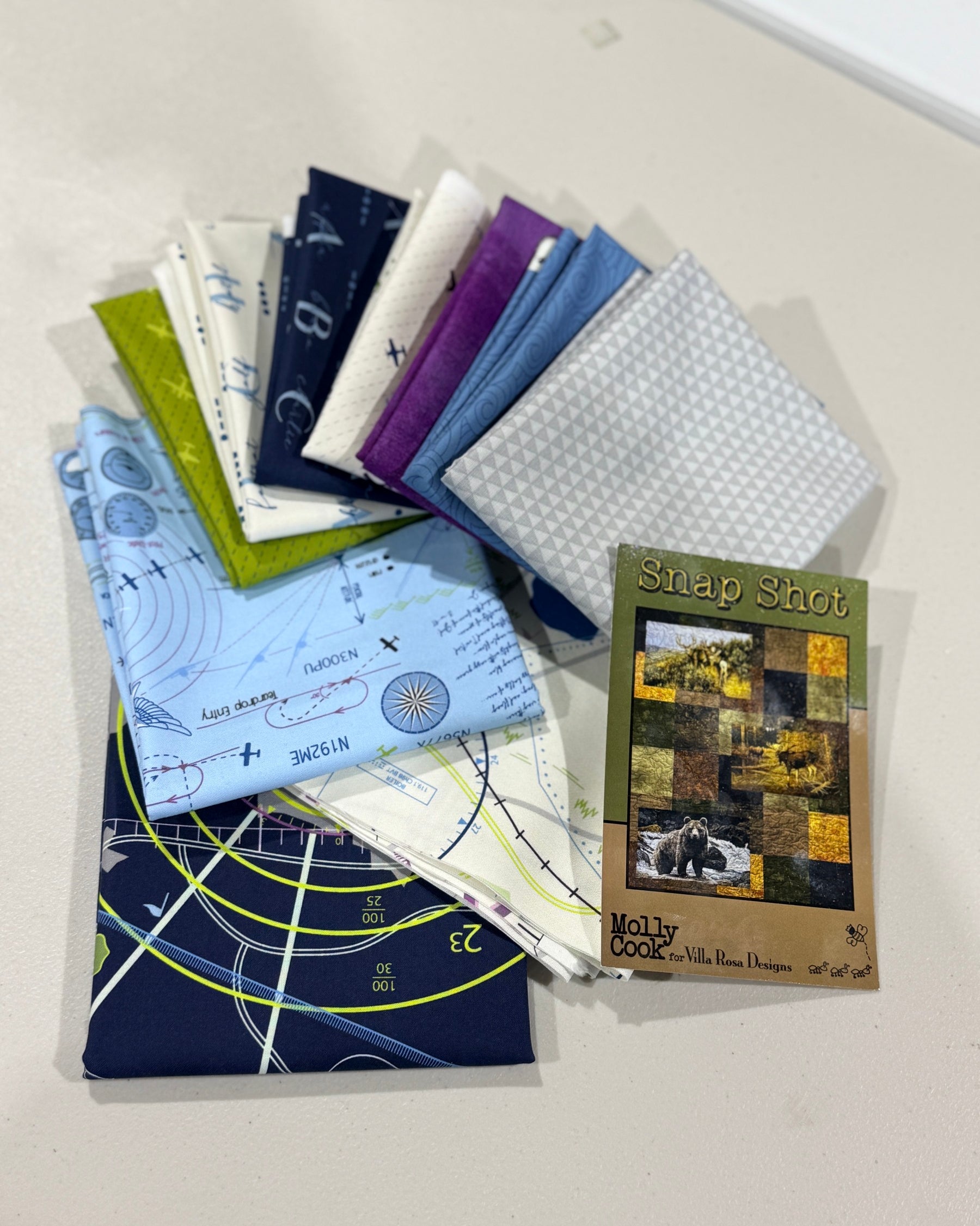 Snap Shot Quilt Kit ( High Flight Edition) - Happy Little Quilt Shop