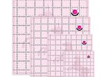 Tula Pink Set of 4 Square Templates with Unicorn - Happy Little Quilt Shop