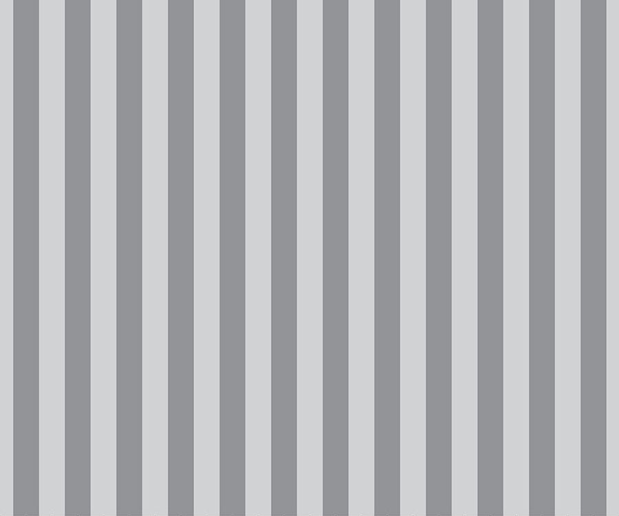 Tent Stripe- Fog- Graywork- Tula Pink - Happy Little Quilt Shop