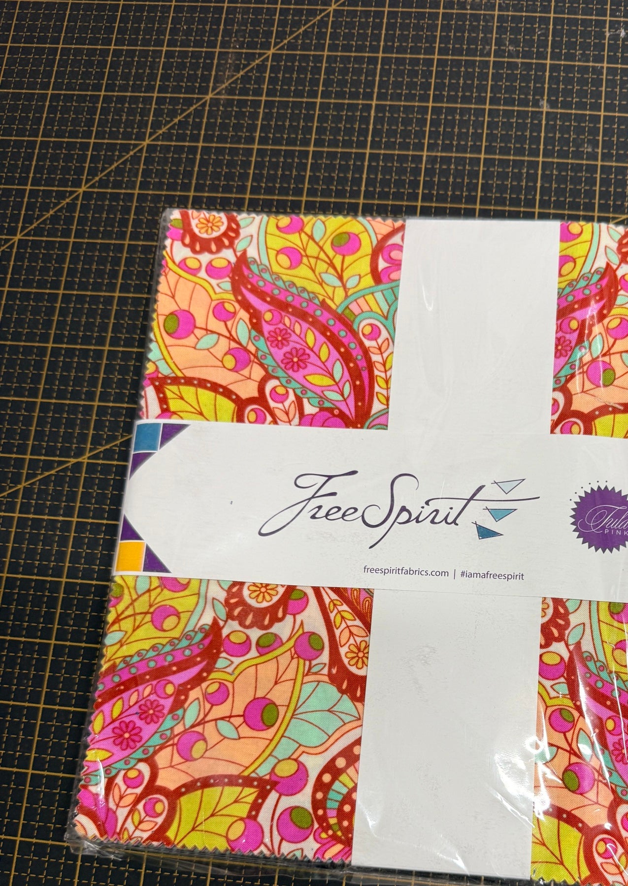 Tula Pink Slow and Steady 10" Charms - Happy Little Quilt Shop