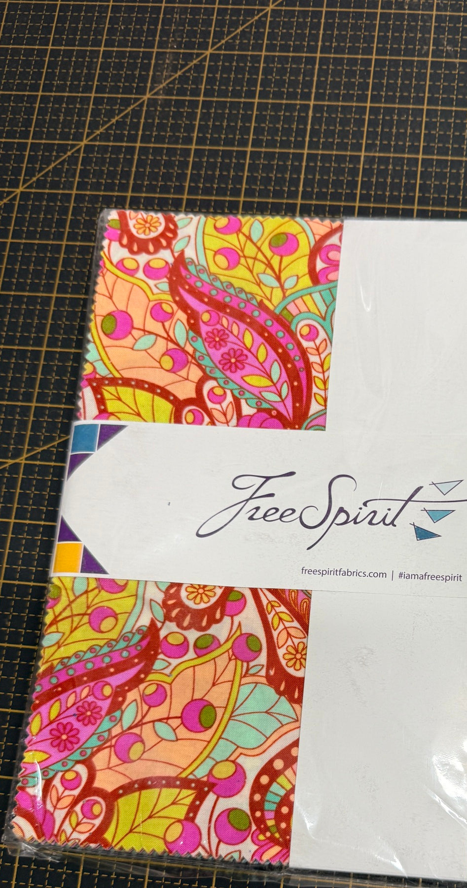 Tula Pink Slow and Steady 10" Charms - Happy Little Quilt Shop