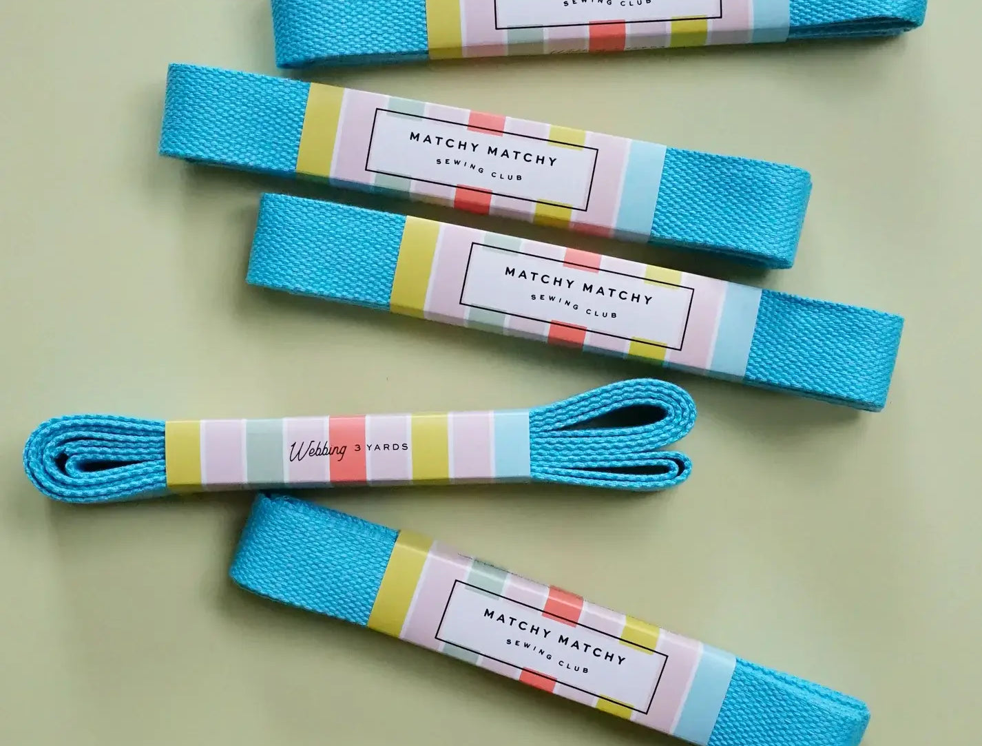 Turquoise Webbing - Matchy Matchy Sewing Club - Happy Little Quilt Shop