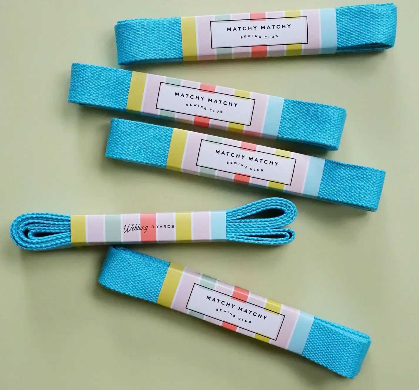 Turquoise Webbing - Matchy Matchy Sewing Club - Happy Little Quilt Shop