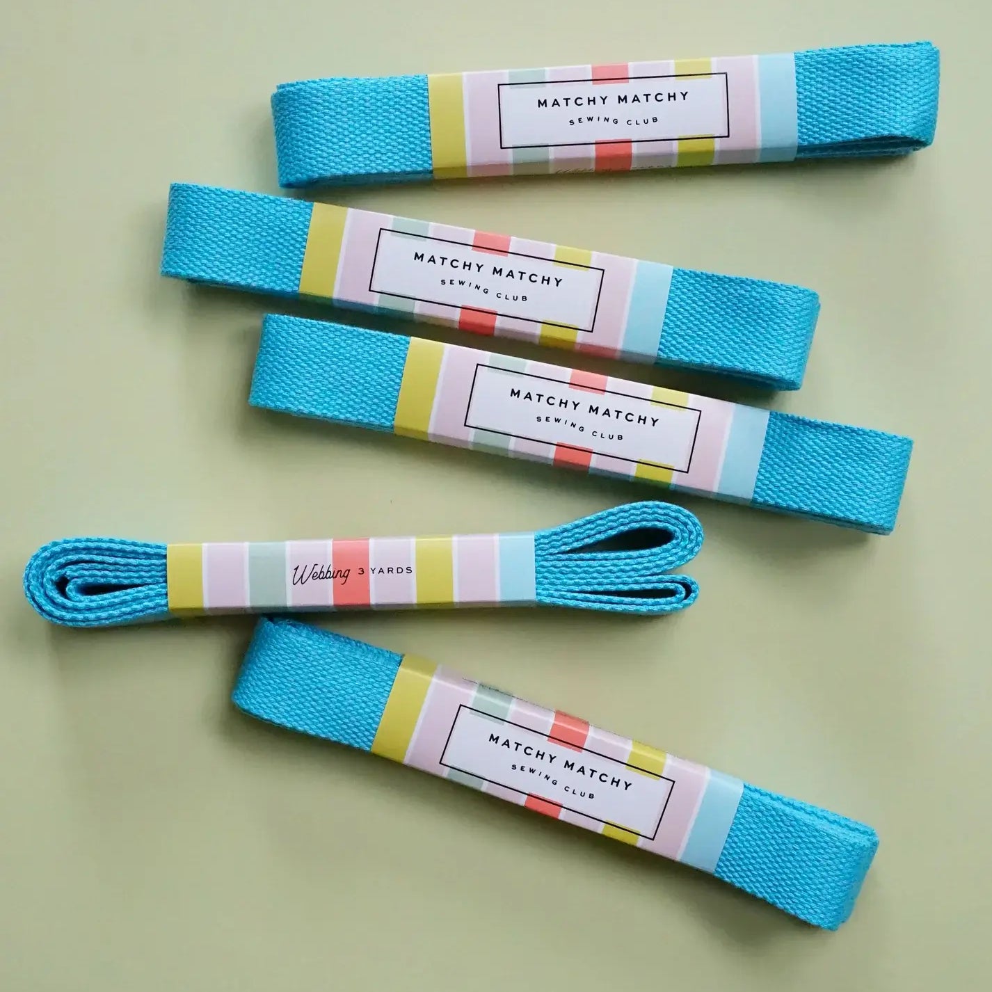 Turquoise Webbing - Matchy Matchy Sewing Club - Happy Little Quilt Shop