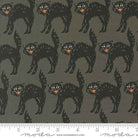 Home Sweet Haunt Stone 20915 12 Moda Fabric