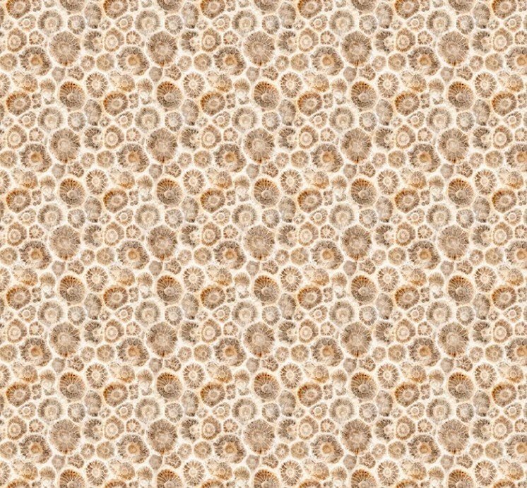 ALL MICHIGAN SHOP HOP 2026- PETOSKEY STONES - TAN - Happy Little Quilt Shop