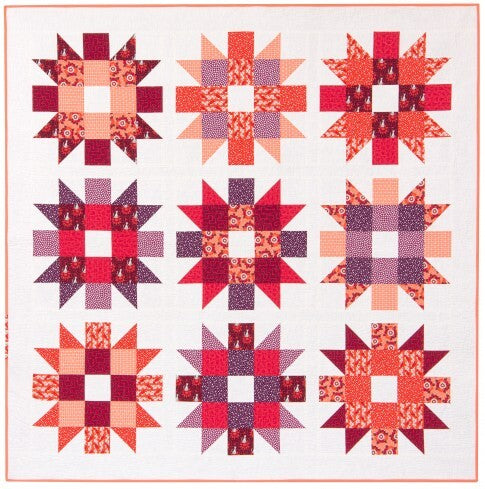 Genny and Ruth Quilt Kit Rhoda Ruth Elizabeth Hartman Petal Colorway - Happy Little Quilt Shop