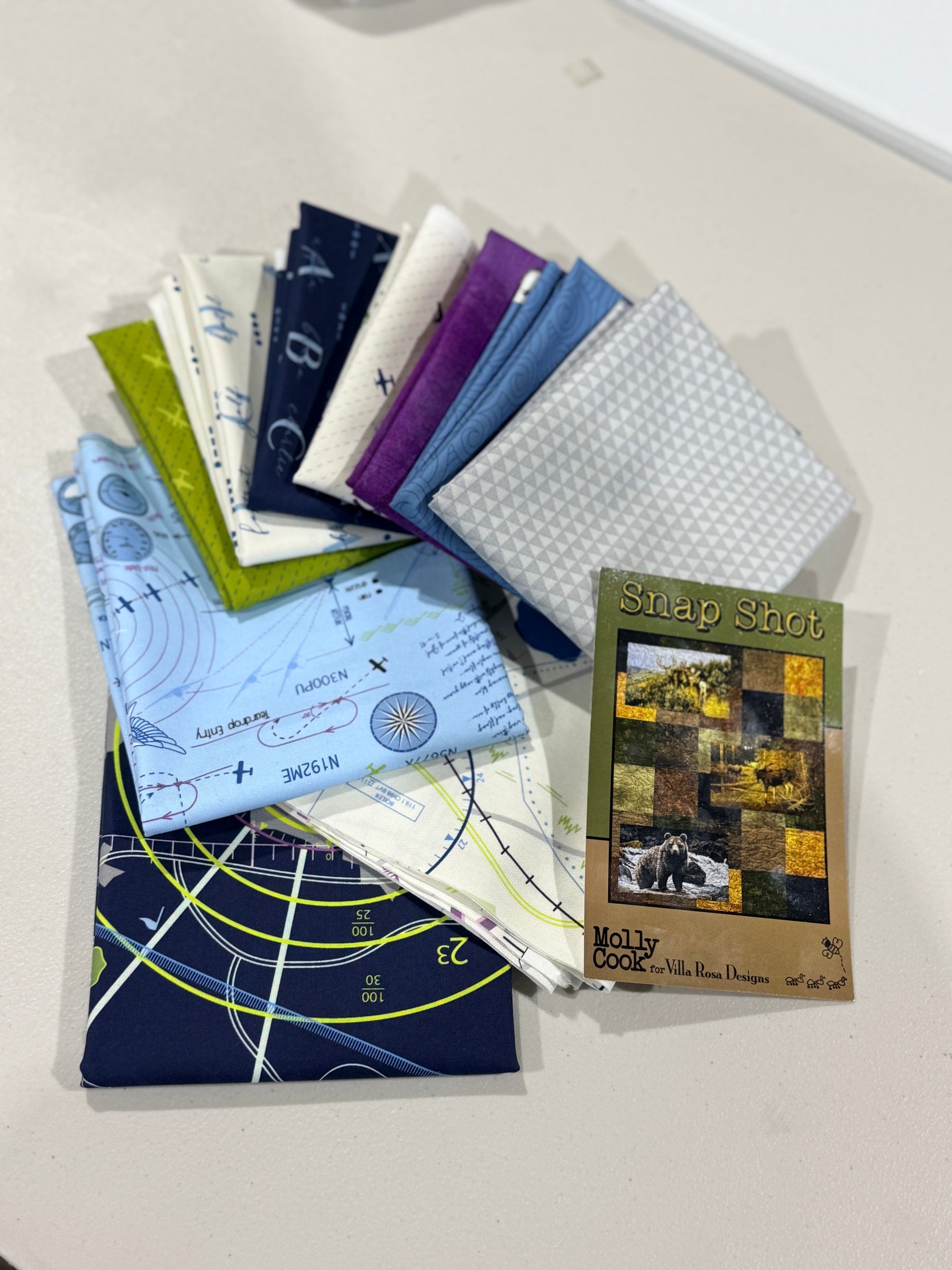 Snap Shot Quilt Kit ( High Flight Edition) - Happy Little Quilt Shop