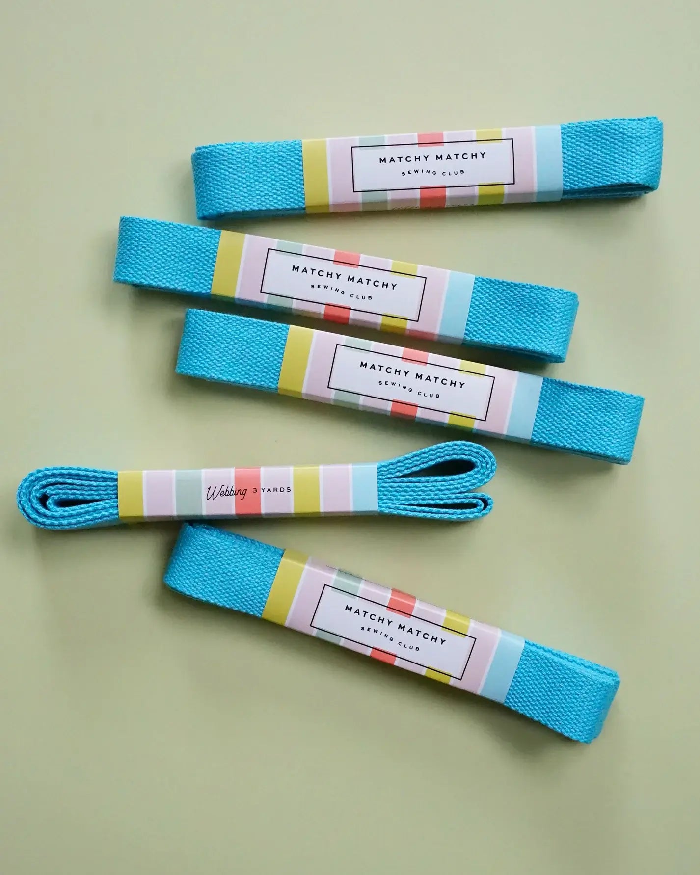 Turquoise Webbing - Matchy Matchy Sewing Club - Happy Little Quilt Shop